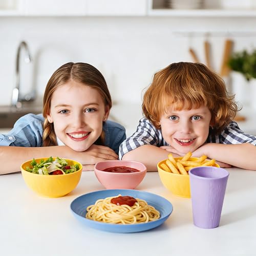 SHECIPIN 24-Piece Wheat Straw Dinnerware Set, Large Round Plates, Bowls and Cups, Unbreakable dish set, Dishwasher and Microwave Safe, Outdoor Camping Dishes - color: Colorful+ dipping sauce cups