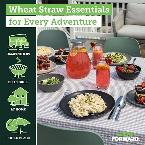 Grow Forward 16-piece Premium Wheat Straw Dinnerware Sets for 4 - Unbreakable Dishwasher & Microwave Safe Plastic Plates and Bowls Sets - Patio, Outdoors, RV, Camping Dishes - Moonlight - color: Moonlight