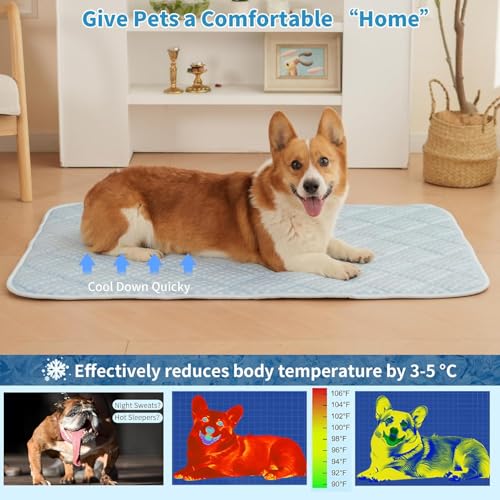 Dog Cooling Mat, Washable Cooling Mat for Dog, Foldable Kennel Pet Bed, Cool Pad (Cool &Warm Surface) for All Seasons Use, Pet Pads for Cats Use in Crate (51 X 37.5 Inch - XX-Large) - size: 51 X 37.5 Inch - XX-Large
