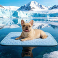 SISROL Cooling Mat for Dogs & Cats, Q-Max>0.5 Arc-Chill Fabric Washable Non-Slip Pet Cooling Pad, Thickened Portable Cooling Bed Mats for Indoor & Outdoor, Small Medium Large Pets - size: Small