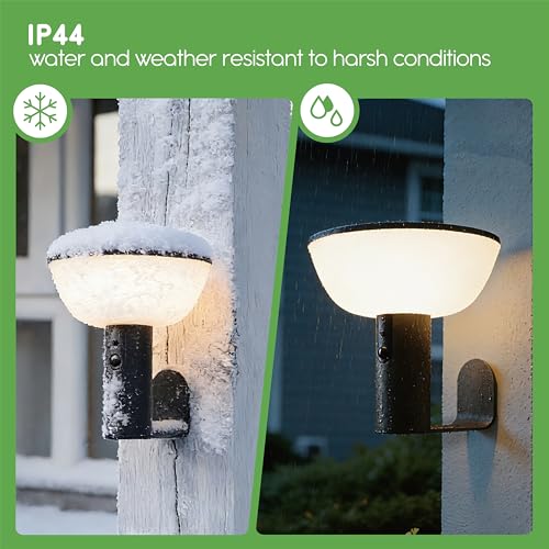 Basin Series - Solar Wall Lights - Solar Porch Lights for Outside - PIR Sensor & Three Lighting Modes - Rechargeable Battery Lasts Up to 35 Hours - 2700K - IP44 Weather Resistant - 2 Pack - size: 2 Pack Wall Lights