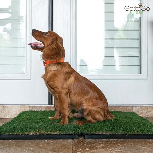 Gotta Go Grass - Real Dog Grass for Pet Training, Natural Grass Patch Potty, Dog Grass Pad Refill, Puppy Potty Training, Dog Accessories, Perfect Indoor/Outdoor Portable Potty (2 Pack, 16" x 24") - size: 2 Pack, Refill (no tray)