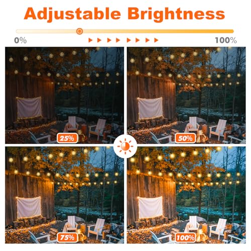 100FT LED Outdoor String Lights with 3 Color Lights, Dimmable String Lights for Outside with Remote, G40 Globe Waterproof Patio Lights with 50+2 Shatterproof Bulbs for Party Backyard BBQ House Camping - color: Black, size: 100ft-3cct
