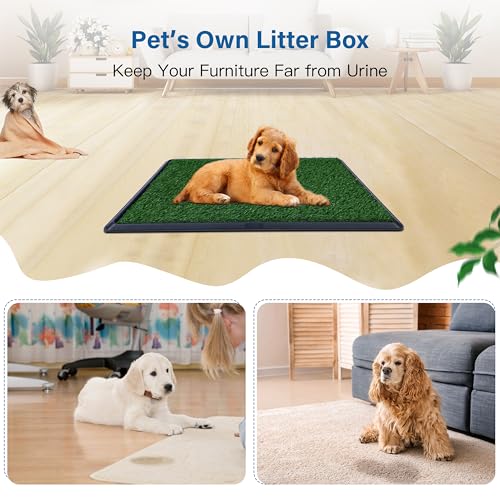 Artificial Grass for Dog Potty – 16x20 inch,Strong Absorbency Grass Pad, Dog Grass Pad with Tray, Dog Potty Training Pad, Dog Litter Box with Grass (Small) (Pack of 2) - size: 16" x 20" (Pack of 2)