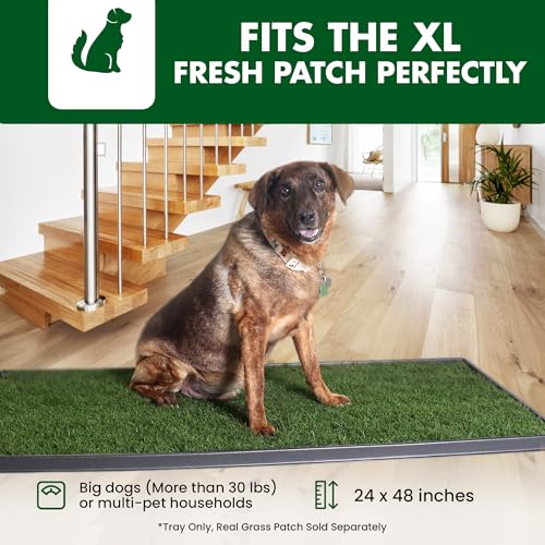 Fresh Patch Plastic Tray for XL Real Grass Pee and Potty Training Pads for Large Dogs and Multi-Dog Households – 4 ft x 2 ft Multi-Purpose and Reusable Crate Tray for Indoor and Outdoor Use
