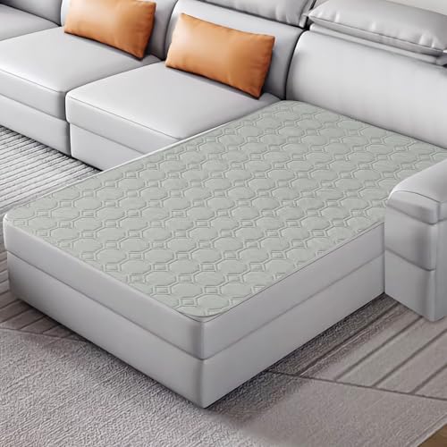 ZNSAYOTX Ultimate Cozy Blankets (40"x50") 100% Waterproof Chaise Mat Blanket for Dog Pets, Bed Couch Sofa Protector with Non-Slip Back Washable Durable, Pee Scratch Proof Easy to Clean (Light Grey) - color: Light Grey, size: 40x50 Inch