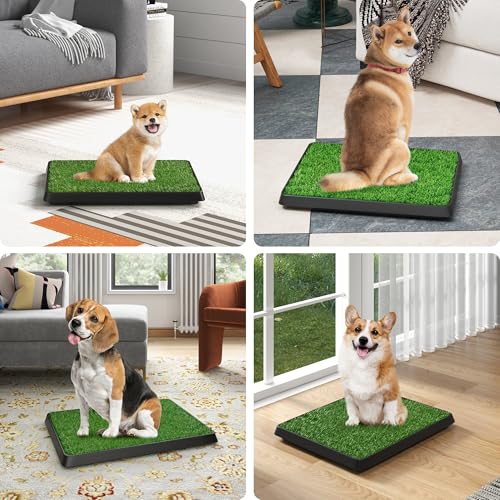 COZIWOW Grass Pad for Dogs with Tray, 25"×20" Dog Grass Pad with Tray for Puppy Potty Training, Washable Indoor Dog Potty Grass, Resuable Artificial Porch Potty Pet Loo - size: M - 25x20x2.4 IN