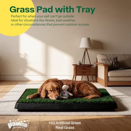 Pawise Dog Grass Pad with Tray, 20x25 Inch Artificial Turf Puppy Potty Pad, Indoor Outdoor Dog Toilet with Pull-Out Drawer & Free Garbage Bags, Dogg Litter Box for Potty Training - size: Large