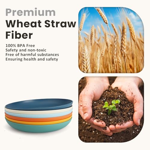 Homienly Deep Plate Set 6 PCS Reusable Dinner Plates Alternative for Plastic Plate Microwave and Dishwasher Safe Wheat Straw Plates for Kitchen Unbreakable 10 Inch Salad Plates for Outdoor (Multi) - color: 6 PCS Multi color, size: 10 IN
