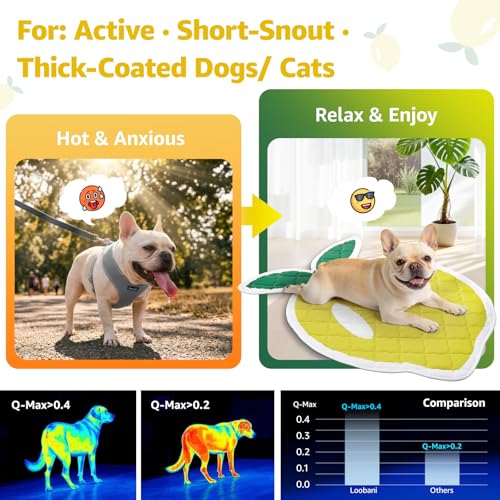 LOOBANI Dog Cooling Mat for Small Dogs, Cats 40"x28"- Cute Lemon Design Cooling Mat for Dogs (Cool & Warm Side), Dog Cooling Pad for Crate, Floor, Car, Trip, Yellow 40"x28" - color: Lemon, size: 40"x28"