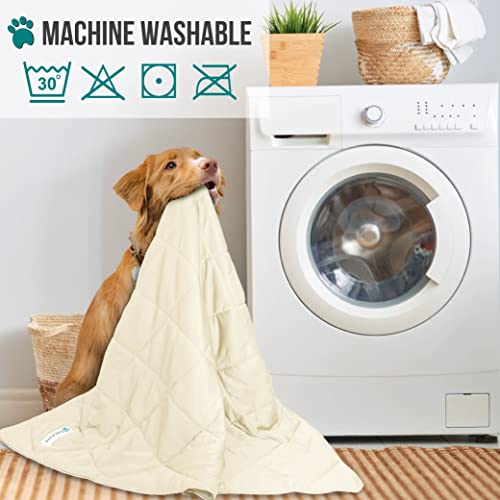 PetAmi Premium Cooling Dog Blanket | Lightweight Fluffy Pet Throw Blanket Bed Cover for Dogs, Cat, Puppies | Pet Blanket Furniture Protector Couch Sofa | Reversible Fuzzy Cozy | 60x80, Beige Latte - color: Beige Cream, size: X-Large (60x80)