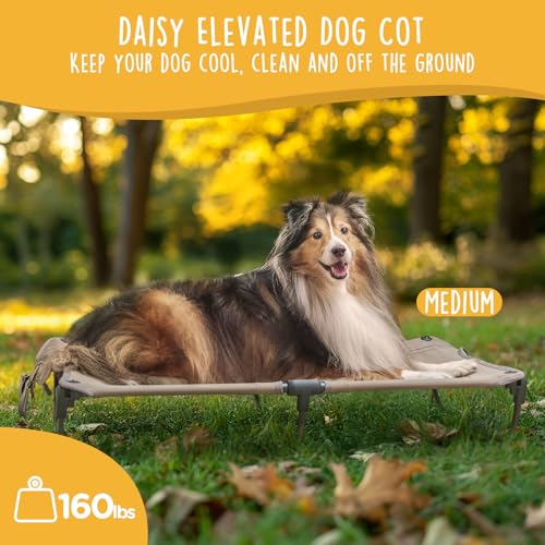 CANINE CANYON Daisy Cot, Medium Foldable Elevated Dog Bed, Portable Raised Outdoor Folding Dog Cot, Cooling, Chew Proof, Waterproof, Heavy Duty Up to 160 lbs for Camping/Home, Brown, 32"x 19"x6" - color: Brown, size: Medium