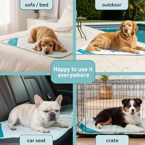 INSPECTOR TAIL Dog Cooling Mat - No Freeze Needed, Self-Cooling Pad for Large Dogs, Washable Portable for Crate Kennel Car Sofa Bed Floor, Indoor Outdoor Summer Use, 38"x27" with Carry Bag - size: Mint- 38.98" x 27.17