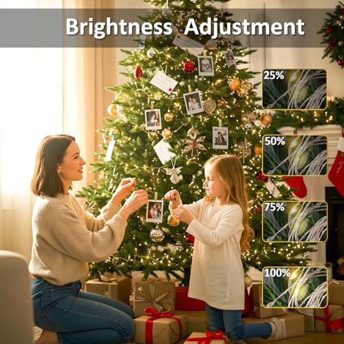 suddus 33ft 100 LED Fairy Lights with Clips for Pictures, Photo Lights with Remote USB Powered & Battery Operated with 45 Clear Clips, String Lights for Party, Bedroom, Decoration, Warm White - color: Warm White USB/Battery, size: 100LED