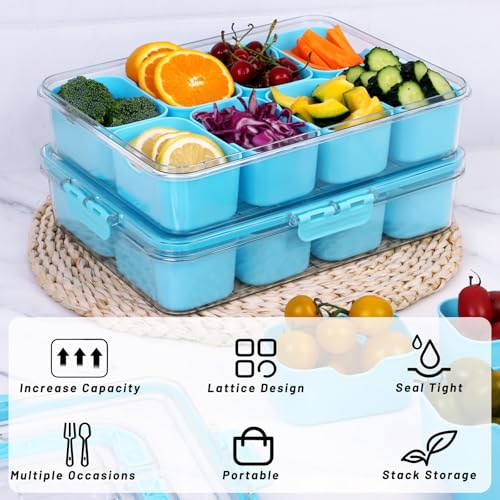 Snack Box Container with Insulated Cooler Bag, Divided Serving Tray with Lid and Handle Beach Essentials, Snackle Box Veggie Fruit Tray with 8 Compartments & 8 Forks & 2 Spoon Blue - size: Blue