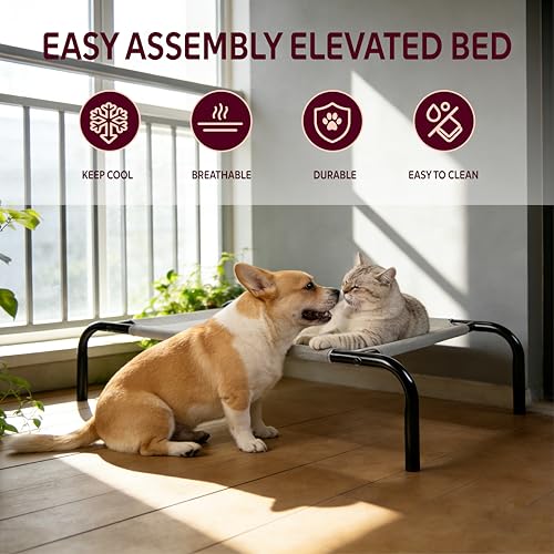 Elevated Dog Bed with Breathable Mesh Fabric, Raised Pet Cot with Airflow and Support, Durable and Easy to Clean (Grey, Medium) - size: Medium