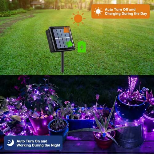 QITONG 4 Pack Solar Fairy Lights, Each 33ft 100 LED Purple Christmas String Light Outdoor Waterproof, 8 Modes Silver Wire Twinkle Mini Lights - color: Purple, size: 4Pack*100LED