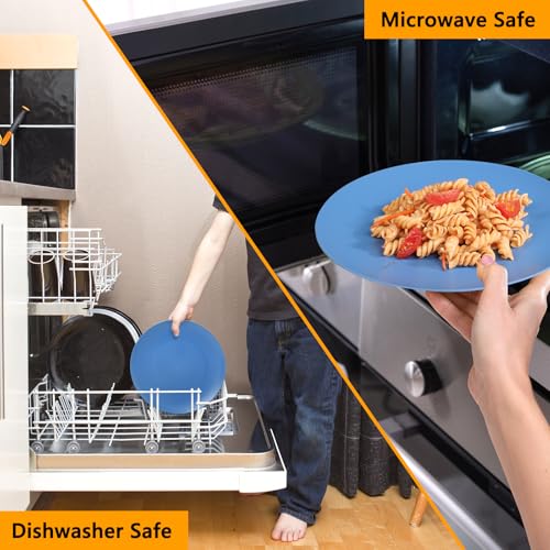 12-Pack 9.8 Inch Plastic Salad plates,Lightweight Unbreakable Dinner plate for Daily Use, Microwave & Dishwasher Safe Plates,Plastic Plates for Camping, Outdoor, food, Fruit (Blue) - color: Blue, size: 9.8 Inch