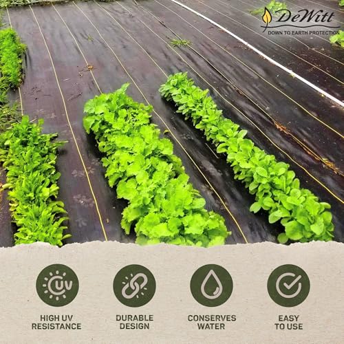 Dewitt Pro-5 Weed Barrier Fabric 5 oz, 6 x 250 Feet – Heavy-Duty Woven Landscape Ground Cover Mat for Raised Garden Bed, Greenhouse Gardening, Outdoor Landscaping, and Commercial Planting - size: 1 Pack, style: 6' x 250'