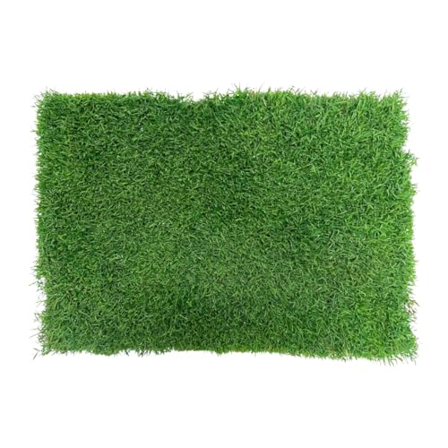 Gotta Go Grass - Real Dog Grass for Pet Training, Natural Grass Patch Potty, Refill Dog Grass Pad, Puppy Potty Training, Dog Accessories, Perfect Indoor/Outdoor Portable Potty, Pet Loo (16" x 24") - size: 1 Pack, Refill (no tray)
