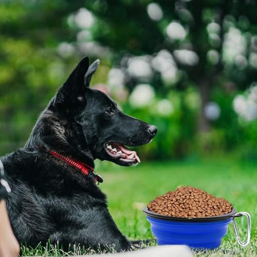 Large Dog Bowl Pet Collapsible Bowls, 2 Pack Collapsible Dog Water Bowls for Cats Dogs, Portable Pet Feeding Watering Dish for Walking Parking Traveling with 2 Carabiners (Large, Blue+Green) - color: Blue+Green, size: Large