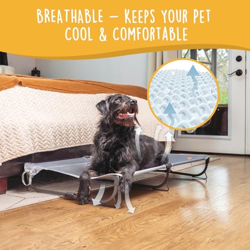 CANINE CANYON Daisy Cot, Large Foldable Elevated Dog Bed, Portable Raised Outdoor Folding Dog Cot, Cooling, Chew Proof, Waterproof, Heavy Duty Up to 160 lbs for Camping/Home, Grey, 43"x 27"x7" - color: Gray, size: Large