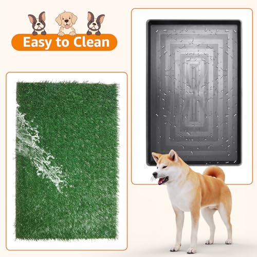 LOOBANI Dog Grass Pad with Tray - Dog Litter Box - Indoor Potty for Apartment and Patio Training - with 2 Packs Grass Pee Pads for Replacement, 20×25 Inch - size: Tray Potty 20*25inch