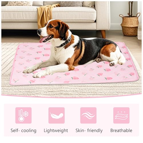 DELIFUR Cat Cooling Mat- Pet Cooling Mat Outdoor for Dogs Self Cooling Pad for Kitten Cat Puppy Machine Washable (Small, Pink Peach) - color: Pink Peach, size: S: 19.5" x 15.5"