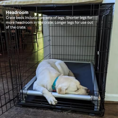 Kuranda Chewproof Elevated Crate Bed - Silver Aluminum - 25" x 18" - Vinyl - Royal Blue - color: Royal, size: 25" x 18" - Silver Aluminum