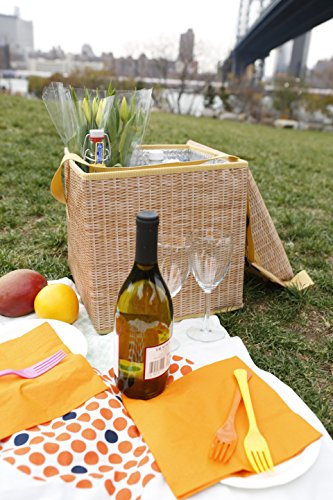Kikkerland Insulated Collapsible Portable Wicker Picnic Hamper Basket Cooler Seat Carrying Strap for Picnics, Parties and BBQs