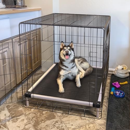 FXW TitanNest Chew-Proof Elevated Dog Bed, Raised Cot for Indoor/Outdoor/Camping Use, Durable & Waterproof Cooling Pet Bed for Medium Dogs, 41.0" L x 27.0" W x 5.0" H, Black - size: Medium Dog (41.0"l X 27.0"w X 5.0"h)