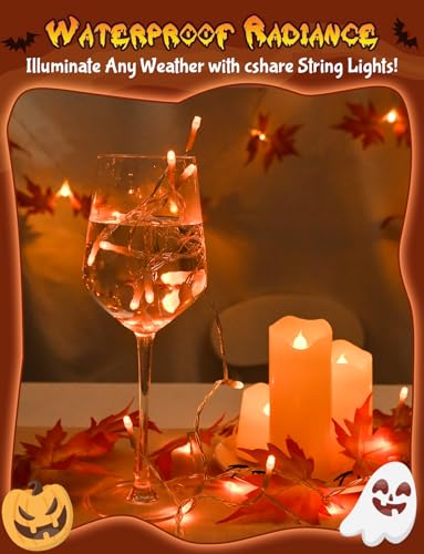 Cshare Halloween String Lights Battery Operated With Timer - 9.8ft 30LED Orange Waterproof Lights for Outside Decorations, Party, Yard, Pathway, Indoor and Outdoor - color: Orange