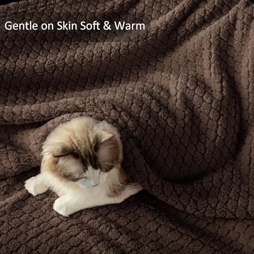 Exclusivo Mezcla Twin Size Fleece Blanket for Bed, Extra Soft Warm Decorative Fuzzy Blanket for Women, Lightweight Cozy Bedding Blankets, 60x80 Inches, Coffee - color: Coffee, size: Twin ( 60x80 IN )