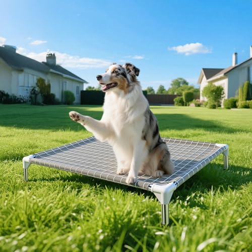 Elevated Dog Bed Pet Cot - Dog Cots Beds for Medium Dogs | Detachable Raised Cat Dog Pet Bed for Medium Dogs - size: Medium-Open