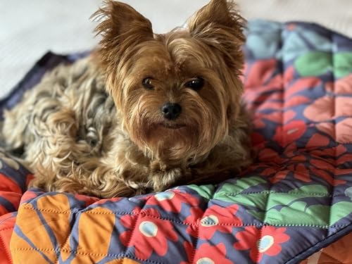 Waterproof Blanket, 29" x 34” - Seat Cover for Dogs and Pets. Ideal for Small and Medium Pet Crate Blankets, Settle mat, Diaper Changing and Playmat for Babies - color: Multicolored