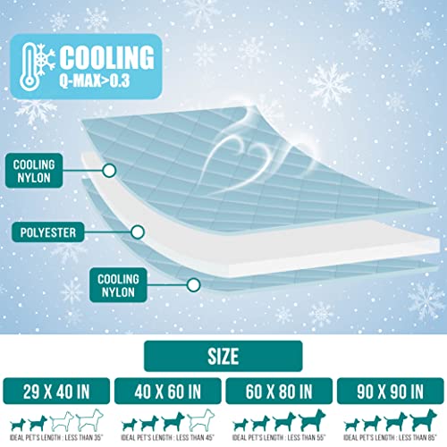 PetAmi Premium Cooling Dog Blanket | Lightweight Fluffy Pet Throw Blanket Bed Cover for Dogs, Cat, Puppies | Pet Blanket Furniture Protector Couch Sofa | Reversible Fuzzy Cozy | 29x40, Beige Latte - color: Beige Cream, size: Medium (29x40)
