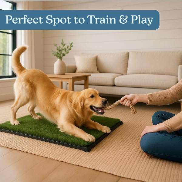 PETMAKER Artificial Grass Puppy Pee Pad for Dogs and Small Pets with Tray - 20x30 inches Washable 3-Layer Reusable Indoor Dog Potty Grass Training Pad, Easy Clean Pet Housebreaking Potty Solution - size: Large 3-layer System