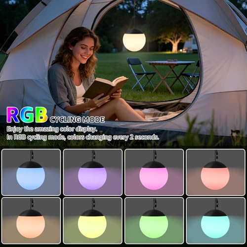 FUYO Rechargeable LED Camping Lantern, 2-Pack Garden Decor Lights Waterproof Outdoor Lanterns w/ Remote & 8 Colors, Hanging Ball Lights for Backyard Fence Pathway Porch Christmas Decorative