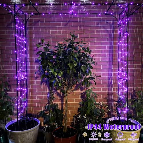 QITONG 4 Pack Solar Fairy Lights, Each 33ft 100 LED Purple Christmas String Light Outdoor Waterproof, 8 Modes Silver Wire Twinkle Mini Lights - color: Purple, size: 4Pack*100LED