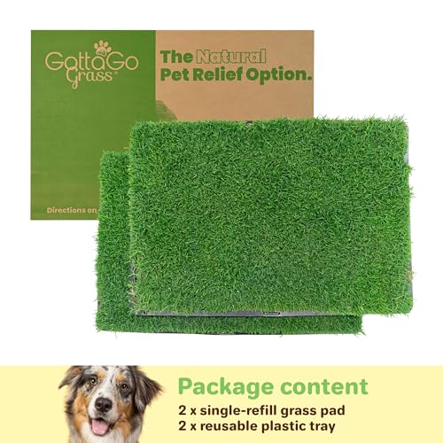 BETHEL Gotta Go Grass - Real Grass Dog Potty Pad with Tray, Indoor/Outdoor Natural Reusable Puppy Pee Pads, Fresh Patch for Puppy Potty Training & Dog Accessories- 2 Pack (16" x 24") - size: 2 Pack, With Tray