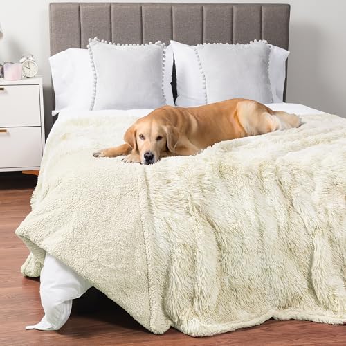 PetAmi Waterproof Dog Blanket for Couch, Queen Bed & Furniture,Reversible Sherpa & Faux Fur Pet Blanket, Leakproof Throw for Large Dog Cat, Washable Soft Calming Sofa Protector (90x90, Cream Beige) - color: Beige, size: Queen (90x90)