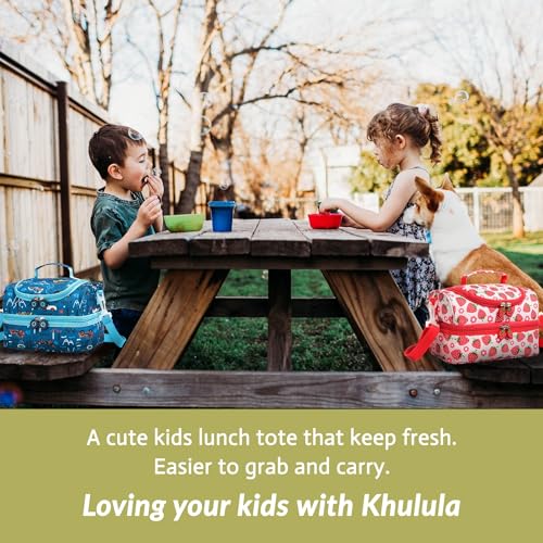 Insulated Kids Dual Compartment Lunch Bags Tote Pack for Girls Boys Toddler Kindergarten School Picnic Food Cooler Boxes with Shoulder Strap (Blue Car) - color: Blue Car
