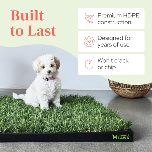 DoggieLawn Non-Spill Dog Potty Training Tray - Leak-Proof HDPE Plastic Grass Pad Holder for Apartments & Urban Homes-Reusable & Washable-Perfect for Indoor Dogs & Puppies-Large (26” x 25.5” x 1.25”) - size: Large (external 26 x 25.5 x 1.25 inches)