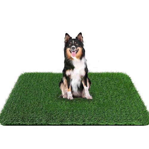 Grass Pad for Dogs 59.1 x 39.4 inches, Strong Absorbency Soft and Real Grass for Pets Potty Training, Easy to Clean Fake Grass for Dog Indoor Outdoor Use (1 Pack) - size: 59.1x40 Inch