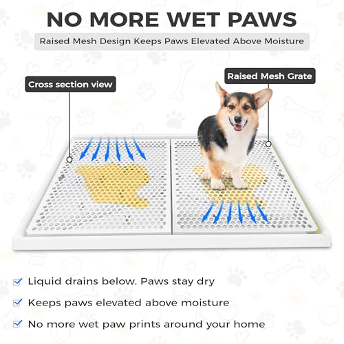 Dog Pee Pad Holder with Raised Mesh Grate – Expandable Indoor Puppy Potty Tray, Heavy Duty Plastic, Keeps Paws Dry, Fits Standard 24x15 Pads – Alpha Dog Series