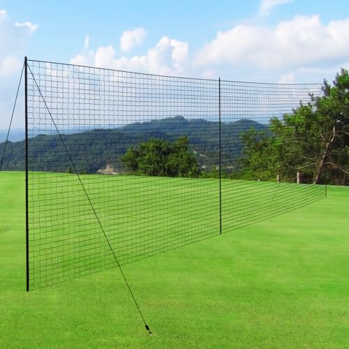 Backstop Net System for Backyard – Heavy Duty Sports Barrier Net with Steel Posts, Movable/Socketed Ball Stop Net for Soccer, Baseball, Training - size: 30FT Wide, style: Socketed-1.75 Inch Net