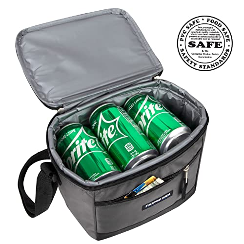 6 Can Cooler Bags Insulated Soft Cooler Lunch Bag for Men, Waterproof Leak Proof Cooler Bags Insulated - color: Blue on Grey