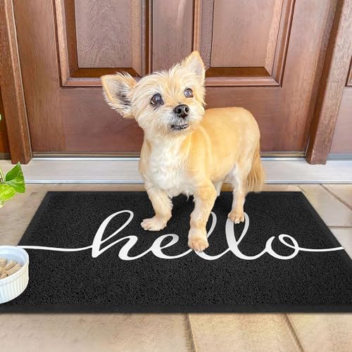 KILOCOCO Front Door Mat Hello Doormat Welcome Mats Outdoor Mat Low Pile Entrance Non-Slip Outdoor Doormats High Traffic Area Rubber Backed Entry Rugs for Kitchen Indoor,24"x36" - color: Hello, size: 2' x 3' (Rectangular)