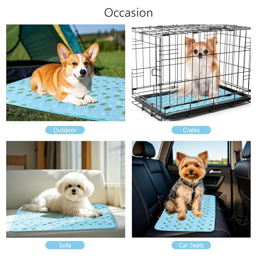 DELIFUR Cat Cooling Mat- Pet Cooling Mat Outdoor for Dogs Self Cooling Pad for Kitten Cat Puppy Machine Washable (Small, Blue Ice) - color: Blue Ice, size: S: 19.5" x 15.5"
