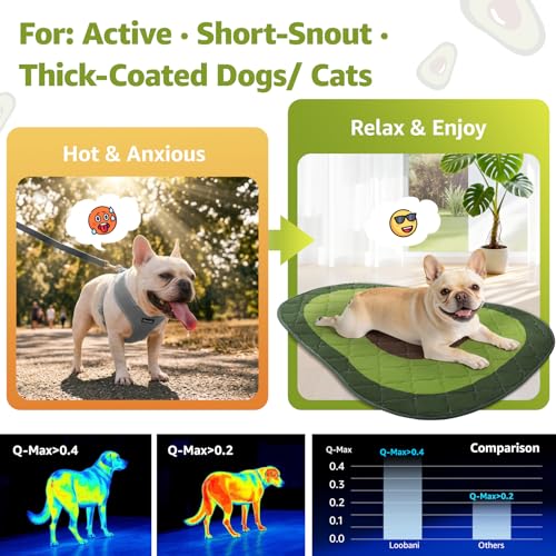 LOOBANI Dog Cooling Mat for Medium Large Dogs 50"x38"- Cute Avocado Design Cooling Mat for Dogs (Cool & Warm Side), Dog Cooling Pad for Crate, Floor, Car, Trip, Green 50"x38" - color: Avocado, size: 50"x38"
